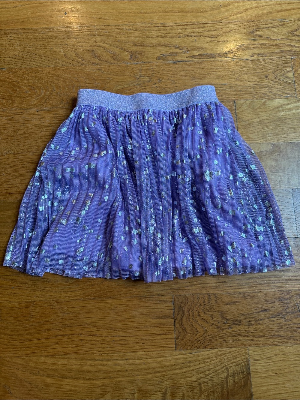 Crewcuts Purple Tulle Skirt with Silver Metallic Accents